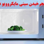 علت نچرخیدن سینی مایکروویو دوو